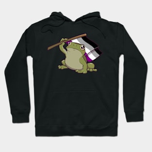 Asexual Pride Flag-Holding Frog Hoodie